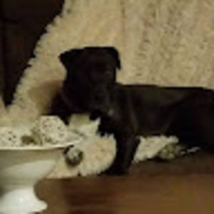 Meet your Posher, Becky